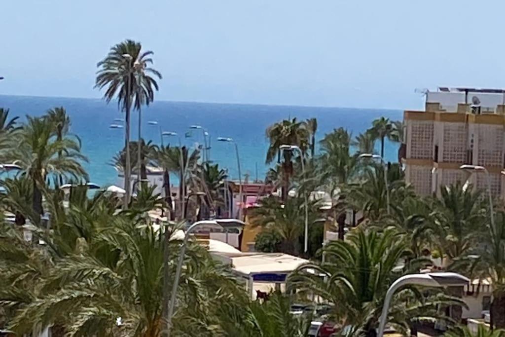 La Gaviota *